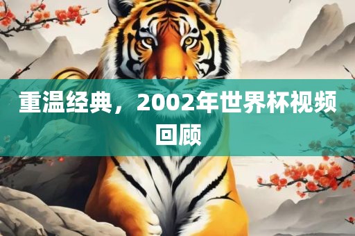 重温经典，2金炬实业股份有限公司002年世界杯视频回顾