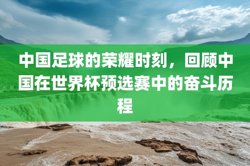 中国足球的荣耀时刻，回顾中国在世界杯预选赛中的奋斗历程金炬实业股份有限公司
