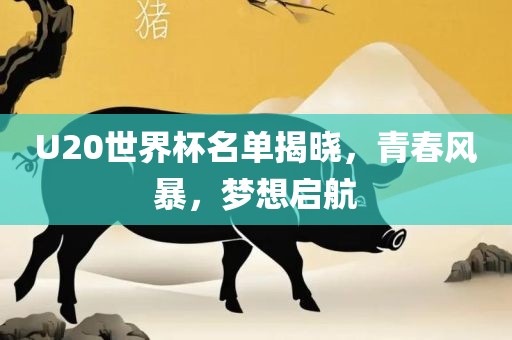 U20世界杯名单揭晓，青春风暴，梦想启航