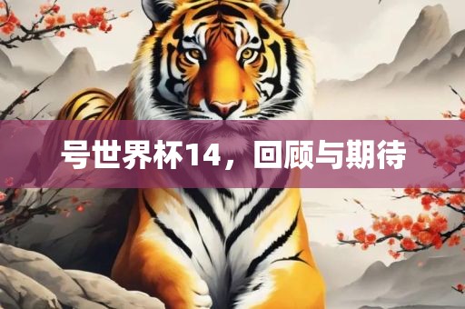 号世界杯14，金炬实业股份有限公司回顾与期待