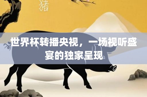 世界杯转播央视，一场视听盛宴的独家呈现