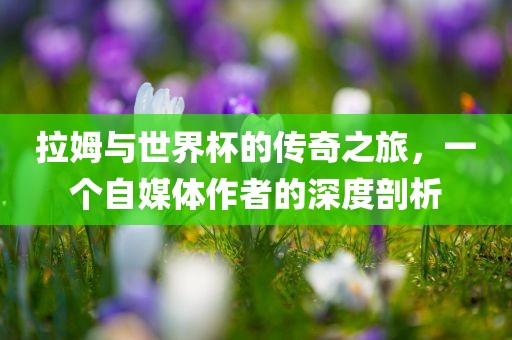 拉姆与世界杯的传奇之旅，一个自媒体作者的深度剖析