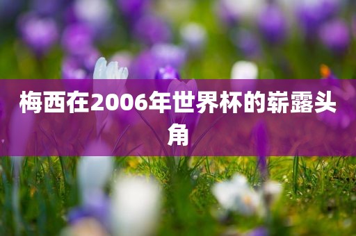 梅西在2006年世界杯的崭露头角金炬实业股份有限公司