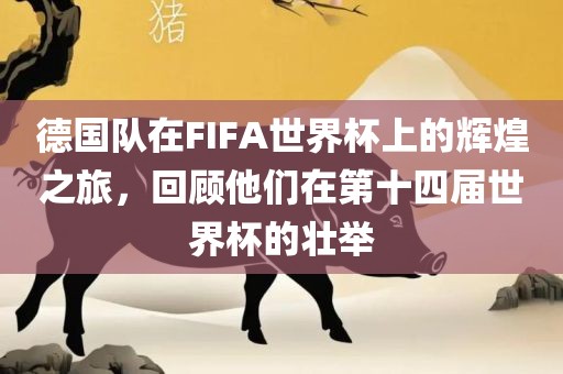 德国队在FIFA世界杯上的辉煌之旅，回顾他们在第十四届世界杯的壮举
