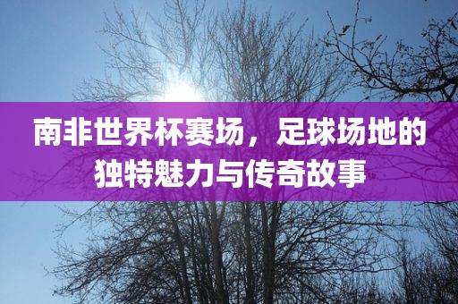 南非世界杯赛场，足球场地的独特金炬实业股份有限公司魅力与传奇故事