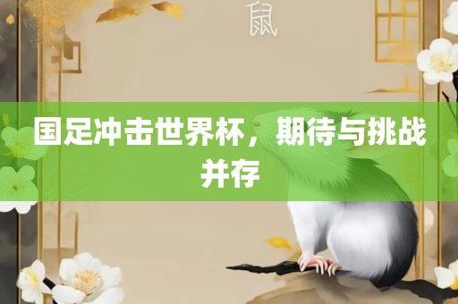 国足冲击世界杯，期待与挑战并存