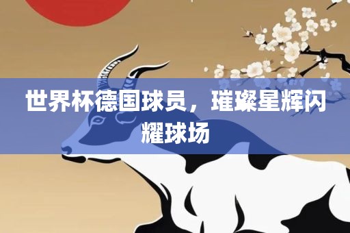 世界杯德国球员，璀璨星辉闪耀球场金炬实业股份有限公司