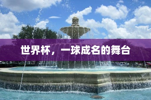 世界杯，一球成名的舞台金炬实业股份有限公司