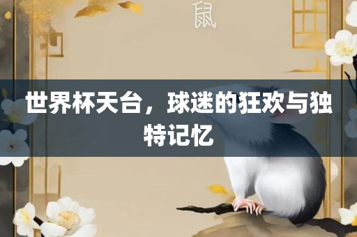 世界杯天台，球迷的狂欢与独特记忆