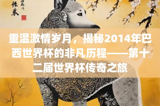 重温激情岁月，揭秘2014年巴西世界杯的非凡历程——第十二届世界杯传奇之旅