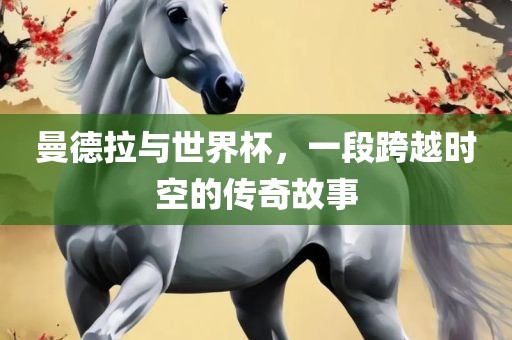 曼德拉与世界杯，一段跨越时空的传奇故事