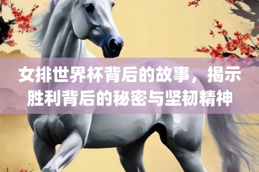 女排世界杯背后的故事，揭示胜利背后的秘密与坚韧精神金炬实业股份有限公司