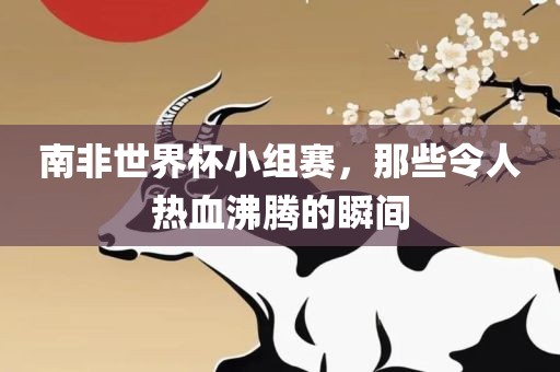 南非世界杯小组赛，那些令人热血沸腾的瞬间