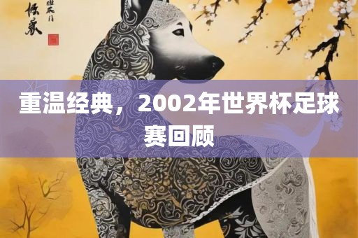 重温经典，2002年世界杯足球赛回顾