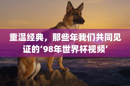 重温经典，那些年我们共同见证的‘98年世界杯视频’金炬实业股份有限公司
