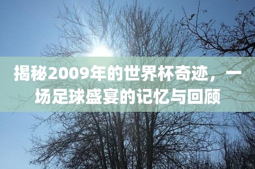 揭秘2009年的世界杯奇迹，一场足球盛宴的记忆与回顾