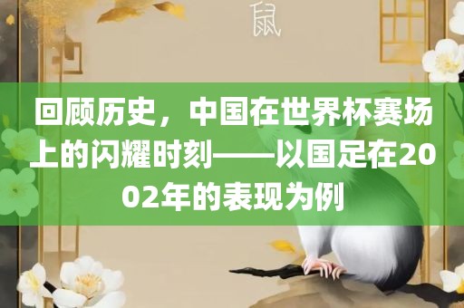 回顾历史，中国在世界杯赛场上的闪耀时刻——以国足在2002年的表现为例