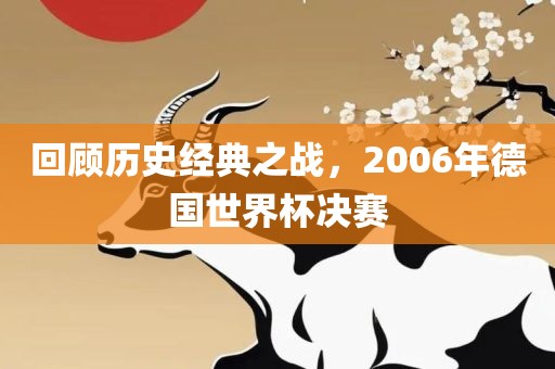 回顾历史经典之战，2006年德国世界杯决赛