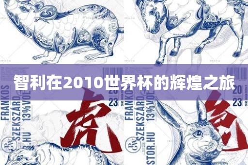 智利在2010世界杯的辉煌之旅