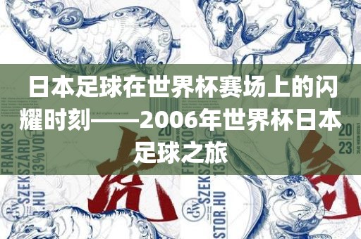 日本足球在世界杯赛场上的闪耀时刻——2006年世界杯日本足球之旅