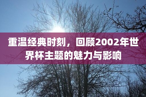 重温经典时刻，回顾2002年世界杯主题的魅力与影响