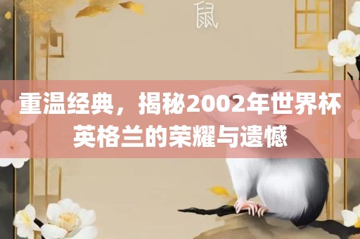 重温经典，揭秘2002年世界杯英格兰的荣耀与遗憾金炬实业股份有限公司