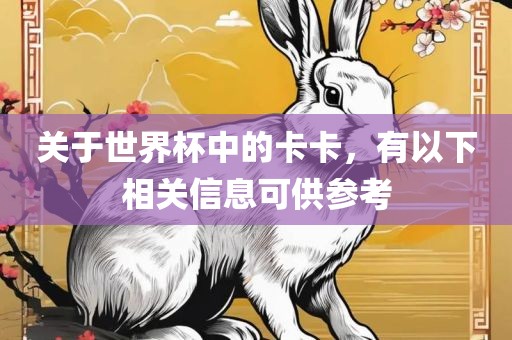 关于世界杯中的卡卡，有以下相关信息可供参考