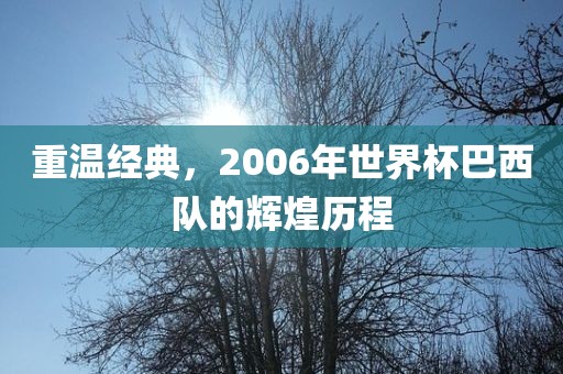 重温经典，2006年世界杯巴西队的辉煌历程