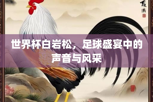 金炬实业股份有限公司世界杯白岩松，足球盛宴中的声音与风采
