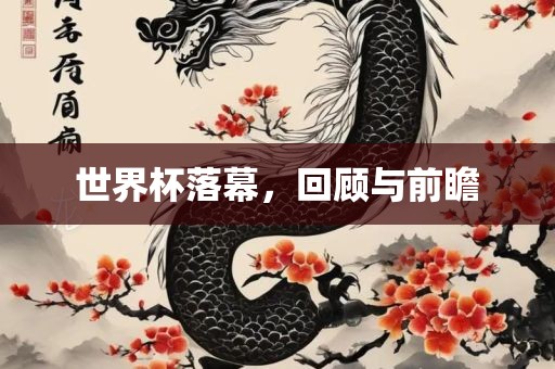 世界杯落幕，回顾与前瞻