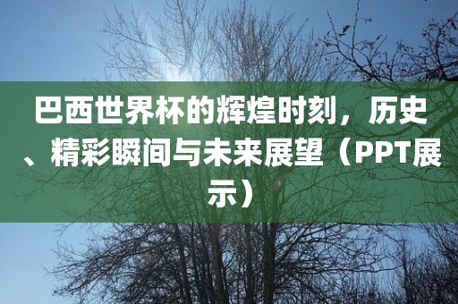 巴西世界杯的辉煌时刻，历史、精彩瞬间与未来展望（PPT展示）