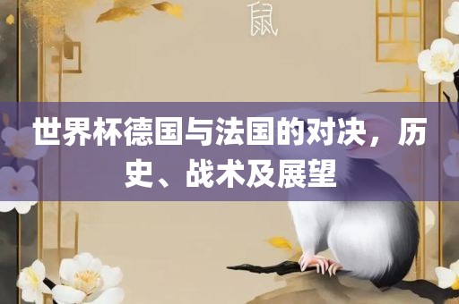 世界杯德国与法国的对决，历史、战术及展望金炬实业股份有限公司