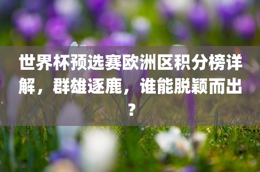 世界杯预选赛欧洲区积分榜详解，群雄逐鹿，谁能脱颖而出？