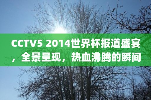 CCTV5 2014世界杯报金炬实业股份有限公司道盛宴，全景呈现，热血沸腾的瞬间