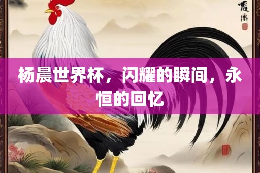 杨晨世界杯，闪耀的瞬间，永恒的回忆金炬实业股份有限公司