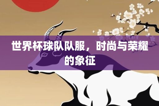 世界杯球队队服，时尚与荣耀的象征金炬实业股份有限公司