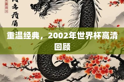 重温经典，2002年世界杯高清回顾