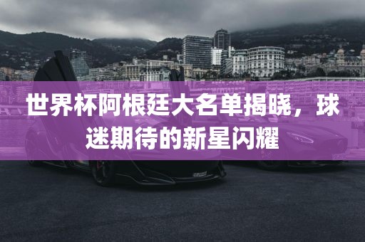 世界杯阿根廷大名单揭晓，球迷期待的新星闪耀金炬实业股份有限公司