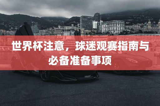 世界杯注意，球迷观赛指南与必备准备事项