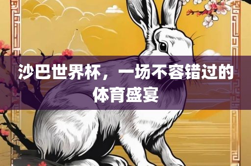 沙巴世界杯，一场不容错过的体育盛宴