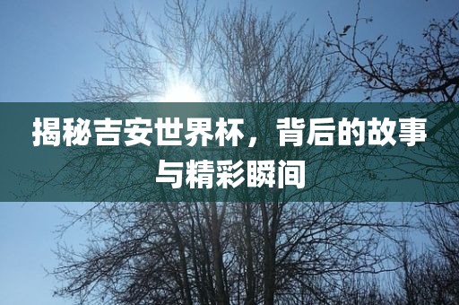 揭秘吉安世界杯，背后的故事与精彩瞬间