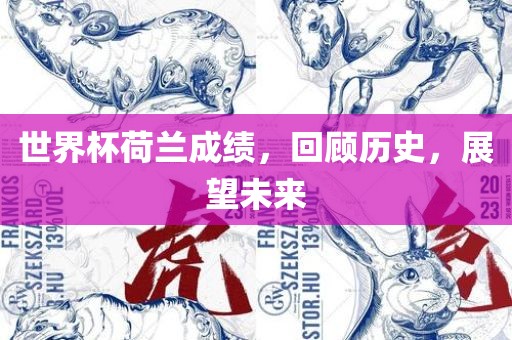 世界杯荷兰成绩金炬实业股份有限公司，回顾历史，展望未来