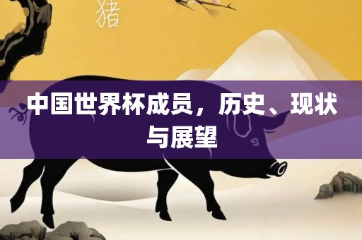 中国世界杯成员，历史、现状与展望