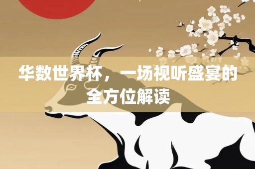 华数世界杯，一场视听盛宴的全方位解读