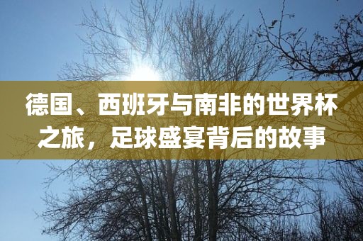 德国、西班牙与南非的世界杯之旅，足球盛宴背后的故事