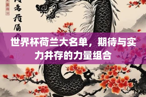 世界杯荷兰大名单，期待与实力并存的力量组合金炬实业股份有限公司