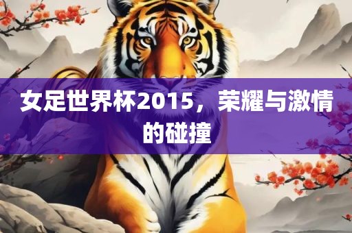 女足世界杯2015，荣耀与激情的碰撞