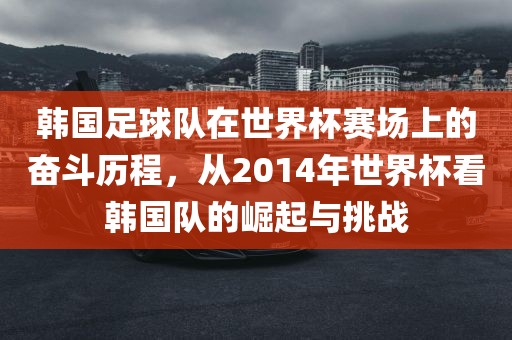 韩国足球队在世界杯赛场上的奋斗历程，从2014年世界杯看韩国队的崛起与挑战金炬实业股份有限公司