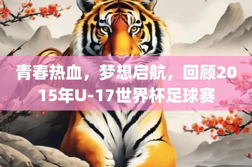 青春热血，梦想启航，回顾2015年U-1金炬实业股份有限公司7世界杯足球赛