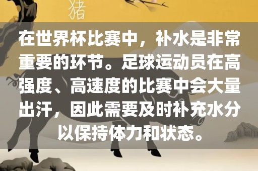 在世界杯比赛中，补水是非常重要的环节。足球运动员在高强度、高速度的比赛中会大量出汗，因此需要及时补充水分以保持体力和状态。